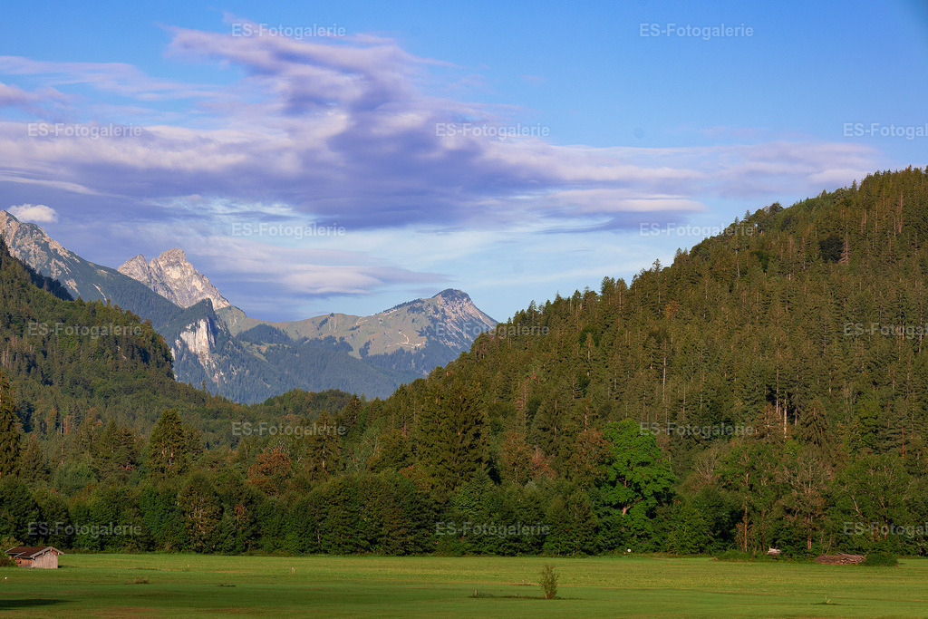 Alpenwiese Panorama