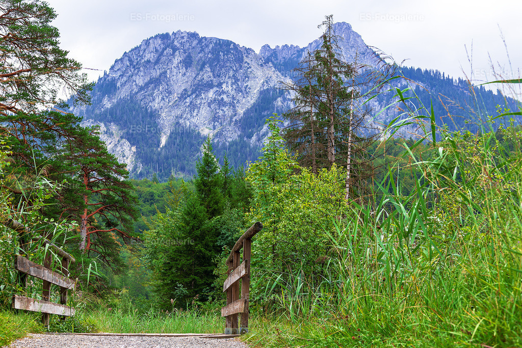 Holzsteg im Gebirge