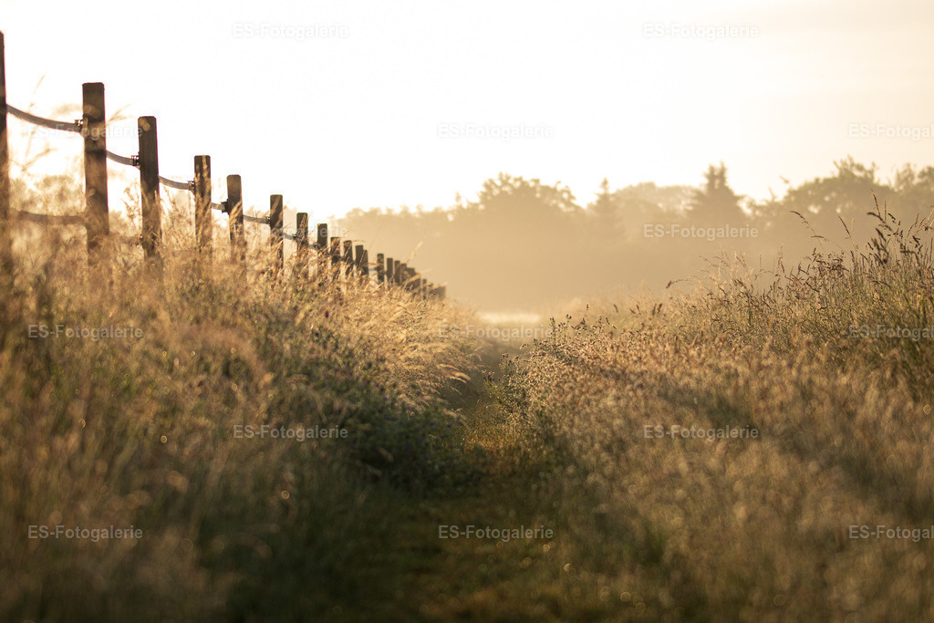 Fine Art Landschaft
