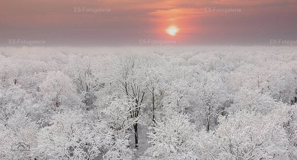 Winterlandschaft